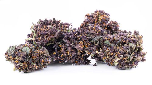 Susz konopny CBD | PURPLE HAZE | 2 g na Arena.pl
