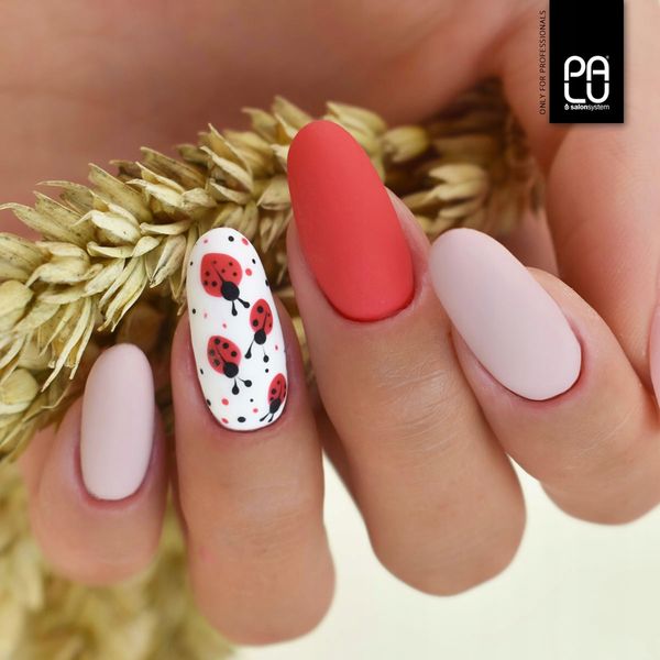 PALU Żel budujący do paznokci builder CLEAR - 12g zdjęcie 6