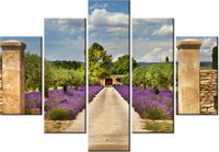 105CM 150CM OBRAZ 5 ELEM DROGA PROWANSJI DRUK