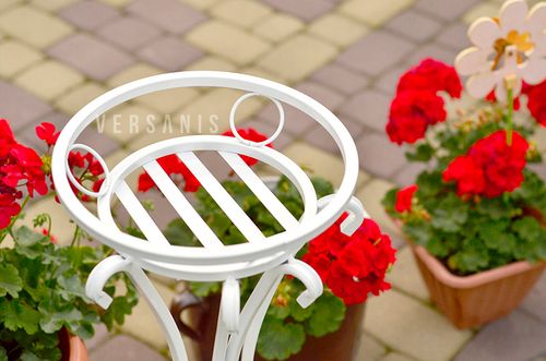 Kwietnik Rogowy 3ka na Arena.pl