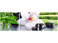 90 80CM OBRAZ T3 ELEM KAMIENIE SPA STORCZYK DRUK ŚCIENNY