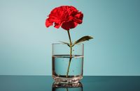 Plakat 86,4x56,8cm Kwiat w Szkle