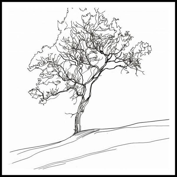 Plakat 80x80cm Drzewo w Zarysie zdjęcie 3