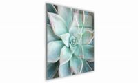 OBRAZ NA SZKLE KWADRATOWY 50x50cm 098 Sukulent