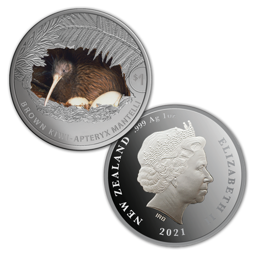 Kiwi kolorowany 1 uncja Srebra 2021 Proof na Arena.pl