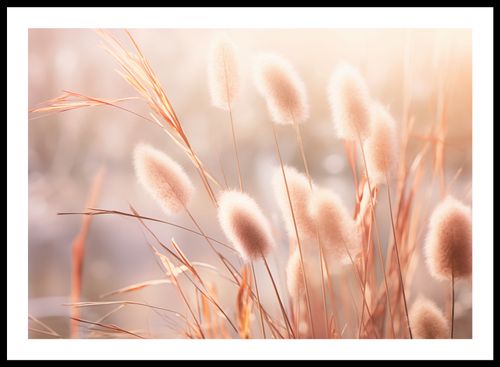 Plakat 66,5x46,5cm Kwiaty Słońca na Arena.pl