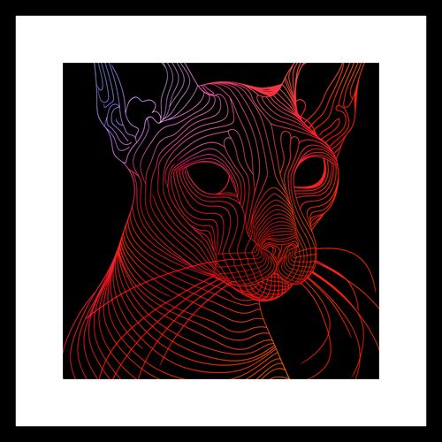 Plakat 20x20cm Cyfrowa Kocica na Arena.pl