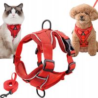 SZELKI BEZUCISKOWE TYPU GUARD + SMYCZ dla KOTA PSA