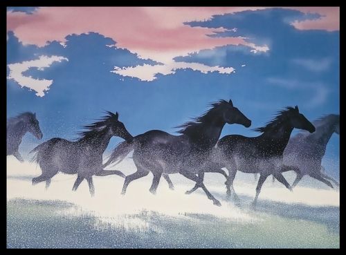 Plakat 55x40cm Wolność i Swoboda na Arena.pl