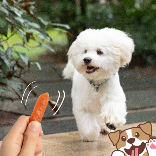 Smaczki dla psa miękkie przysmaki kiełbaski z królika 500g PAWFECT BITES na Arena.pl