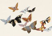 Plakat 100x70cm Butterfly 15, Sekka Japoński Vintage do Salonu