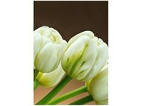 50X70CM BIAŁE TULIPANY OBRAZ PION ŚCIAN