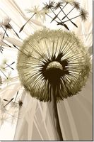 100 70CM OBRAZ PŁÓTNO DMUCHAWCE SEPI PŁÓTNO RAMA