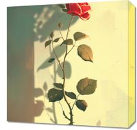 product-compare-59506262