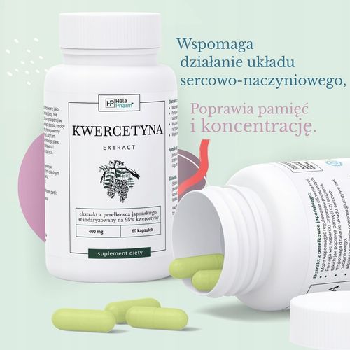 KWERCETYNA 98% PEREŁKOWIEC JAPOŃSKI 60 kapsułki na Arena.pl