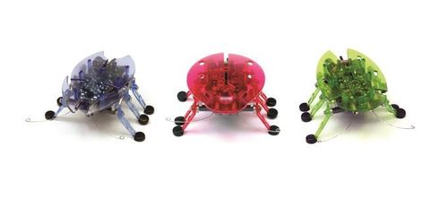 Hexbug Żuczek na Arena.pl