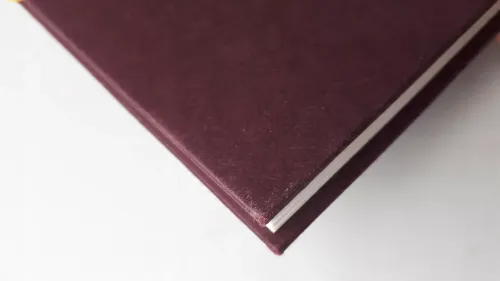 Old money Jak żyć lepiej i wydawać mniej Księga tajemnic amerykańskich elit na Arena.pl