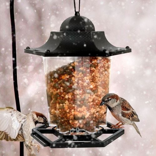 Karmnik dla ptaków 13 cm na Arena.pl