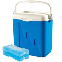 Curver Lodówka Turystyczna 20L Przenośna 2x Wkłady