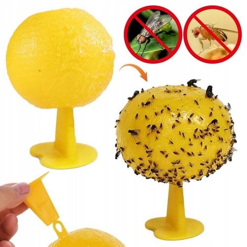 ŻÓŁTY LEP PUŁAPKA KLEJOWA NA MUSZKI MSZYCE ZIEMIÓRKI OWOCÓWKI OWADU na Arena.pl