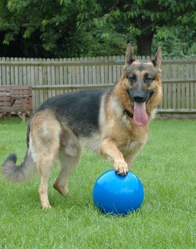 Boomer Ball S - 4 na Arena.pl