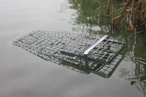 ZYWOŁAPKA PUŁAPKA NA KUNY LISY KOTY BOBRY WYDRY na Arena.pl