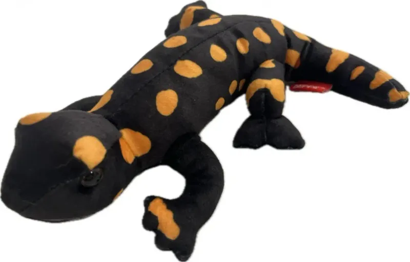 Salamandra plamista 20cm zdjęcie 1