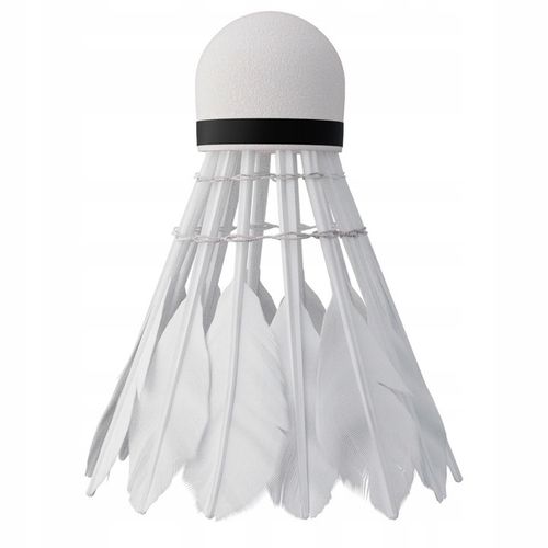 NILS Zestaw 2 Rakiety + 6 Lotek Piórowych Do Gry W Badmintona W Pokrowcu na Arena.pl