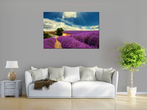 Obraz drukowany na płótnie canvas 120x80 + GRATIS na Arena.pl