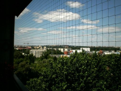 SIATKA ZABEZPIECZAJĄCA NA BALKON DLA KOTA PRZECIWKO PTAKOM 2x3m na Arena.pl