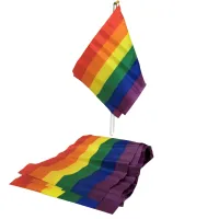 fet a fet flaga pride mini 20x15 cm na drążku 30 cm tęcza