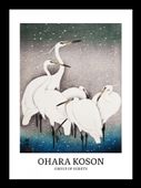Plakat 13x18cm Design Egrets, Koson Vintage do Salonu