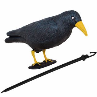 Odstraszacz ptaków 11x39x18,5cm stojący kruk czarny z żółtym dziobem