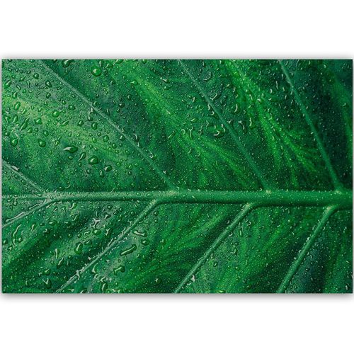 Deco Panel, Mokry liść z bliska 60x40 na Arena.pl