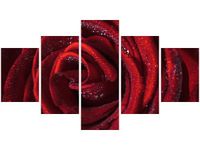 75CM 120 OBRAZ 5 ELEM BORDOWA RÓŻA ŚCIENNY DRUK