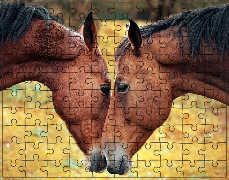 Puzzle Konie zdjęcie 1