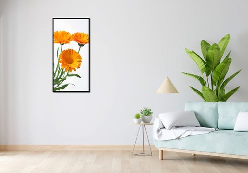 Plakat 50x100cm Słoneczne Kalendule na Arena.pl
