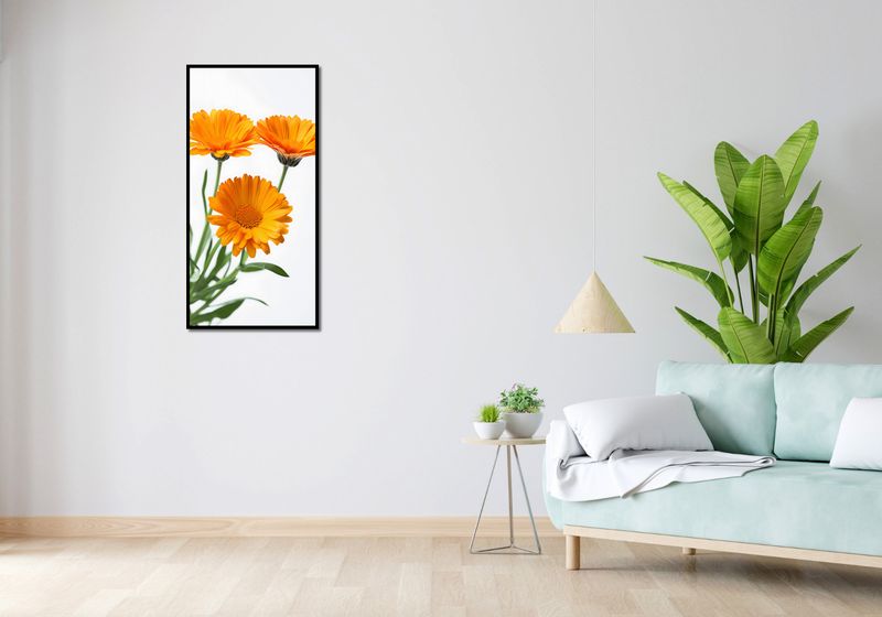 Plakat 50x100cm Słoneczne Kalendule zdjęcie 4