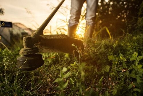 KOSA SPALINOWA WYKASZARKA KOSIARKA PODKASZARKA DEMON RQ 580 TURBO na Arena.pl