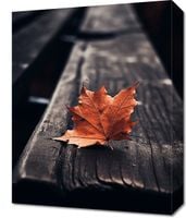 Obraz 40x50cm Pojedynczy Liść