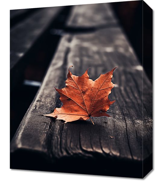 Obraz 40x50cm Pojedynczy Liść zdjęcie 1