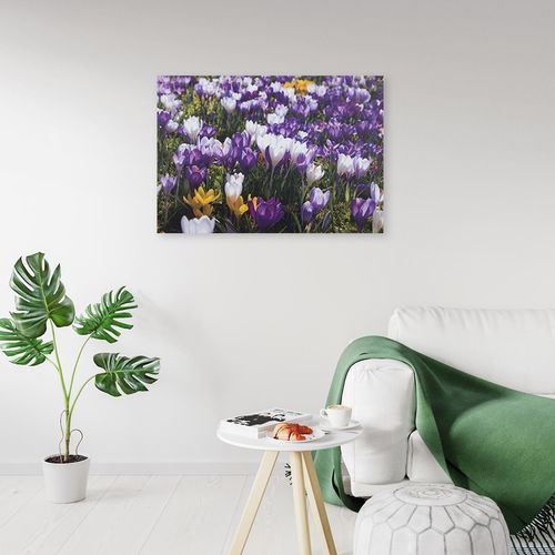 Deco Panel, Krokusy 80x60 na Arena.pl