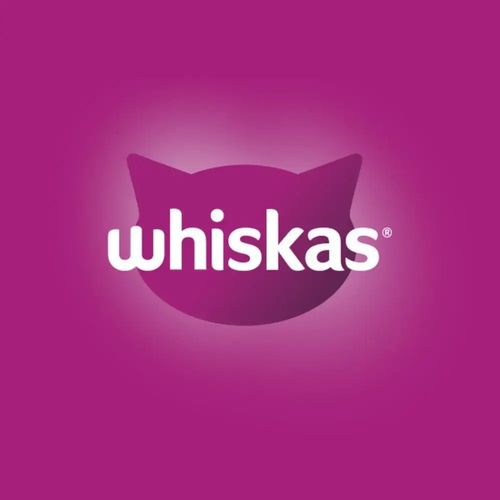 Whiskas Sucha karma dla kota z Kurczakiem 3,8kg na Arena.pl