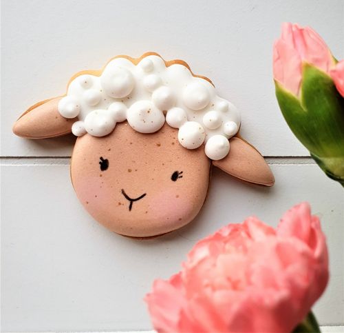 CIASTKO CIEKAWSKA OWIECZKA na Arena.pl