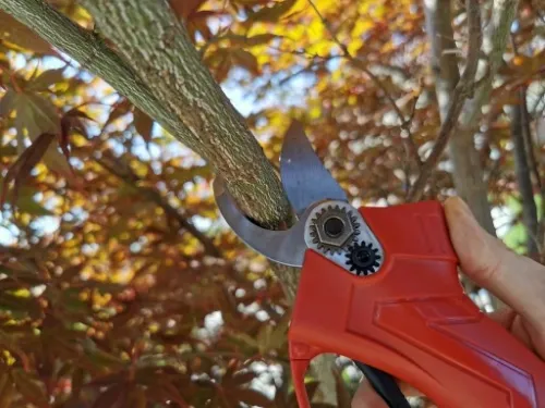 SEKATOR AKUMULATOROWY KOWADEŁKOWY NOŻYCE OGRODOWE ELEKTRYCZNE 2X BATERIA na Arena.pl