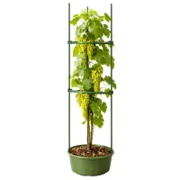 Tyczka podpora do roślin trójkątna 120 cm stabilna ogród działka