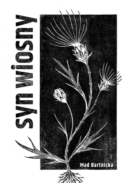 (epub, mobi) Syn wiosny zdjęcie 1