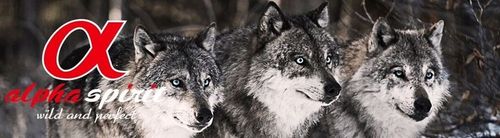 ALPHA SPIRIT KACZKA 1 KG na Arena.pl