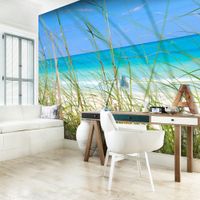 Fototapeta - Tropical journey 400x309