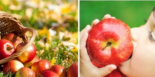 Zestaw DRZEWEK KOLUMNOWYCH Grusza Jabłoń Śliwa Morela DRZEWKA OWOCOWE na Arena.pl